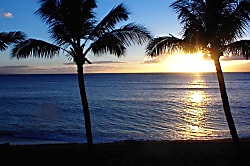 The Whaler Unit 1059