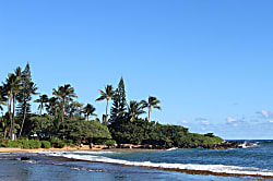 Kapaa Sands Unit