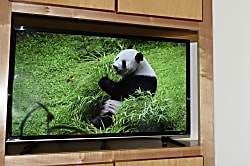 The Palms At Wailea 901