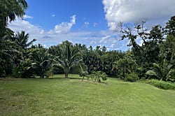 Hana vacation rental