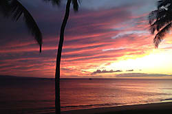 Sugar Beach Resort 228