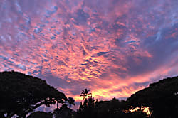 Kiahuna Plantation #144 (building 22)