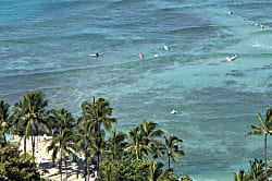 Aqua Pacific Monarch