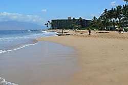 Maui Kamaole Condo Rental