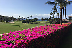 Maui Eldorado C205/C206