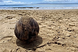 Sugar Beach Resort 107