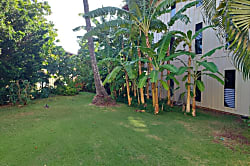 Wai Komo Stream Villas Ground Floor