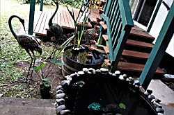 Mama J's Tropical House