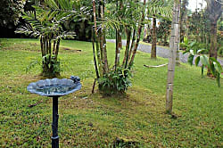 Mama J's Tropical House