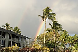 The Cliffs Rental - 1 Bedroom