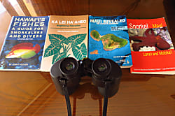 Royal Kahana Resort #914