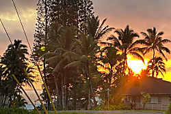 Ocean View Suite 830163