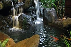 Waikiki Banyan 1213-1