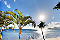 Kihei Beach Condominiums 308