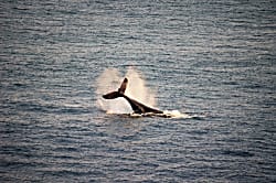 Alii Kai Kauai Condo