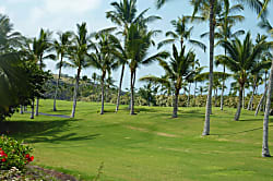 Keauhou Punahele E106