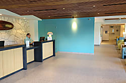 Waikiki Banyan for 2