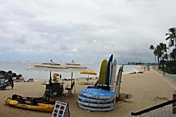 Waikiki Banyan for 2