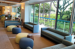 Waikiki Banyan for 2