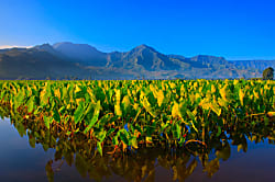 The Wai'oli, walk 2 bay & town