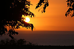 Luana Kai Unit Ground Floor Garden View