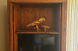 Cliffs at Princeville 1202