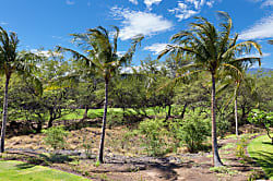 Paradise Found Villa