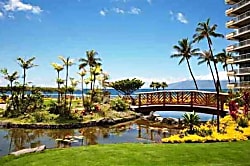 The Whaler 11th Floor