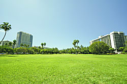 Luana Waikiki (LW14)