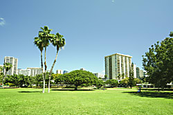 Luana Waikiki (LW14)