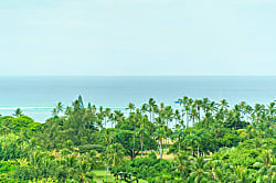 Luana Waikiki (LW14)