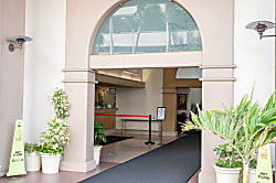 Waikiki Sunset (WS03)