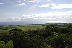 Akaka Farms Vacation Home