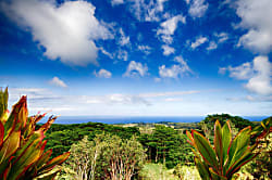 Akaka Farms Vacation Home