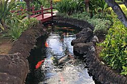 Ko Olina Beach Club Condo