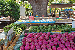 Ma'alaea Banyans Oceanfront Condo 