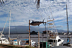 Ma'alaea Banyans Oceanfront Condo 