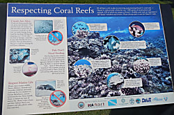 Ma'alaea Banyans Oceanfront Condo 