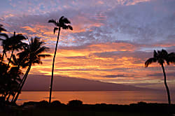 Ma'alaea Banyans Oceanfront Condo 