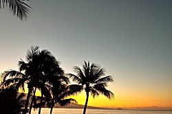 Ma'alaea Banyans Oceanfront Condo 