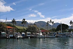 Unit 205, Hoyochi Nikko