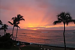 Unit 205, Hoyochi Nikko