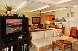 The Whaler Studio #814