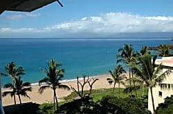 The Whaler Studio #814