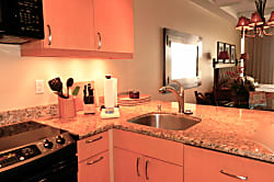 The Whaler Studio #814