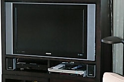 The Whaler Studio #814