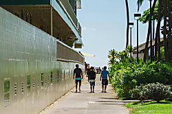 Waikiki Shore (WShore208)