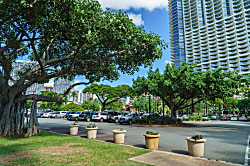 Waikiki Shore (WShore208)