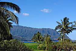 Whale Hale - Punahele Bluff