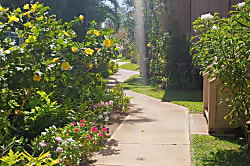 Kihei Bay Vista D-205
